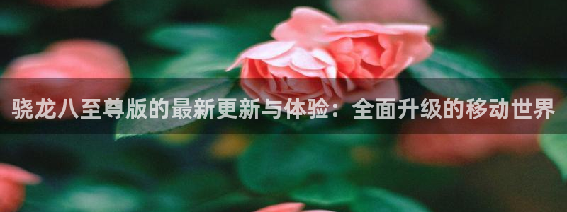 卧龙娱乐app下载