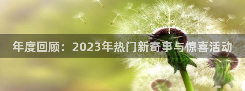 壹号电子娱乐app下载最新版本