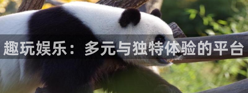 壹号app下载官方网站