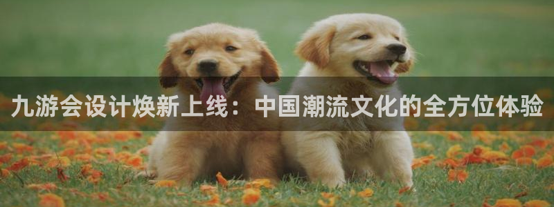 卧龙娱乐官方app下载安装