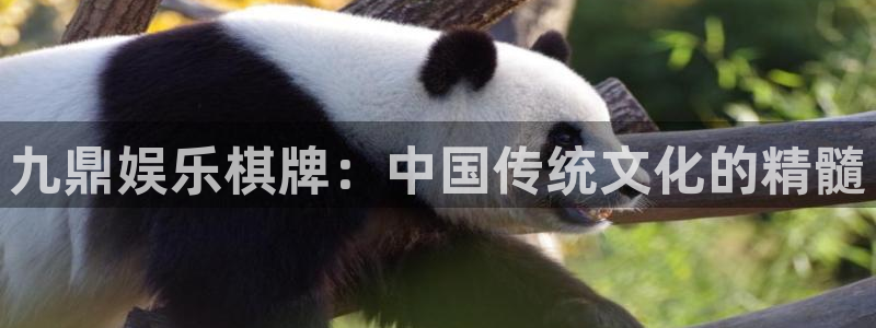 卧龙娱乐科技赋能,让平台更有趣