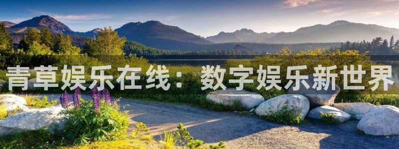 卧龙娱乐app官网下载