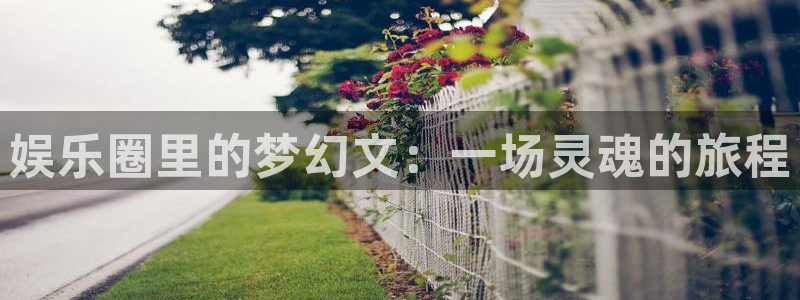 卧龙娱乐,apk.1