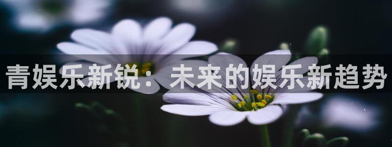卧龙娱乐官网入口