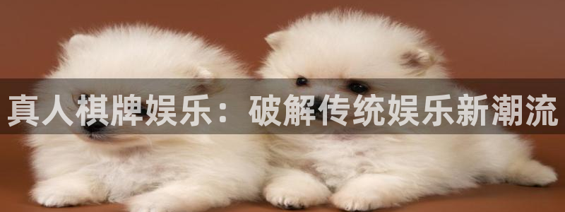 卧龙娱乐app下载安装最新版