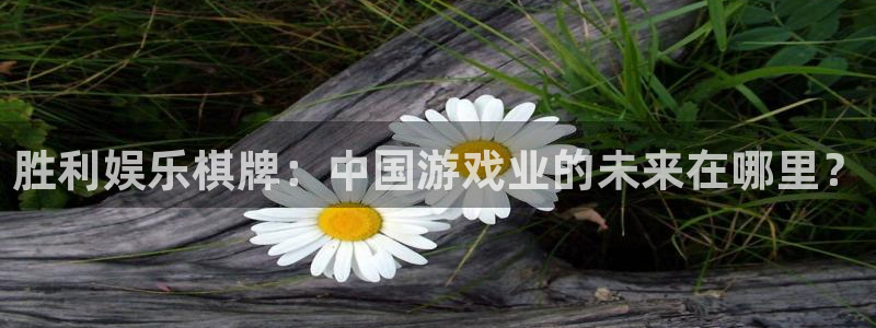 卧龙娱乐app官网下载苹果