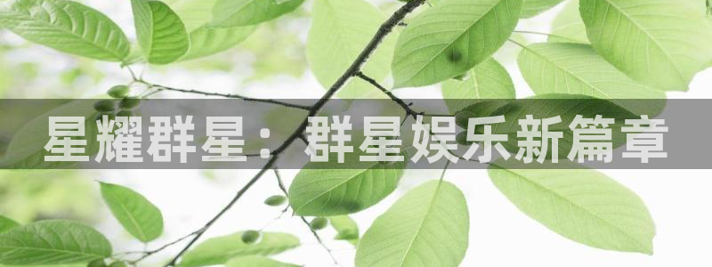 卧龙娱乐