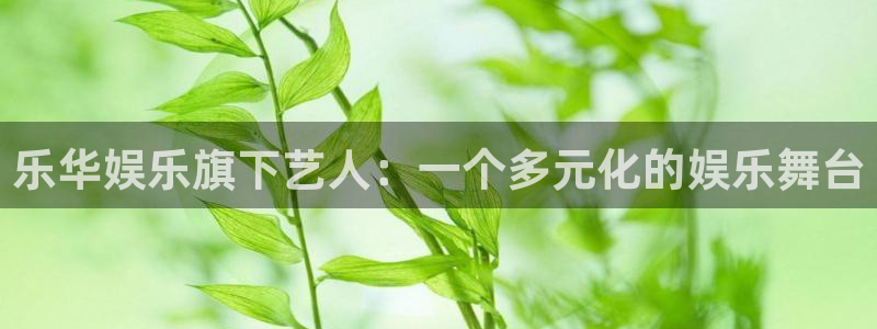 壹号平台下载安装官网