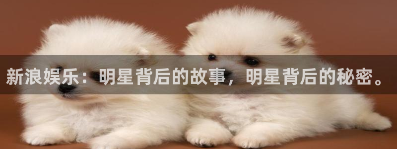 卧龙娱乐,apk.1