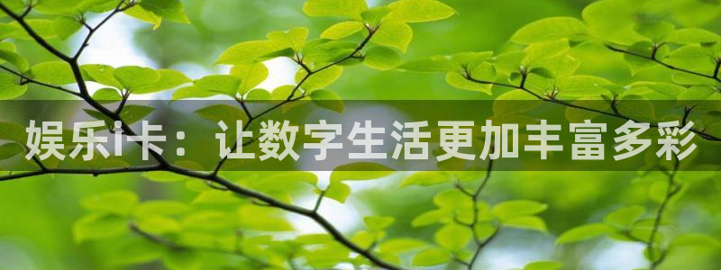 卧龙娱乐充值怎么退款