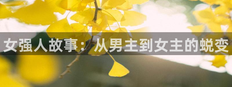 卧龙娱乐app官网