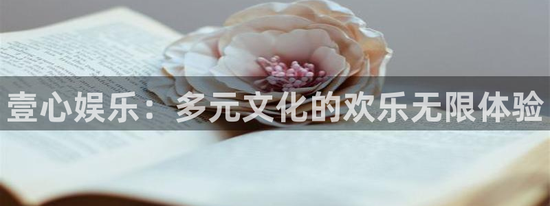 卧龙娱乐(com.youad.authst)